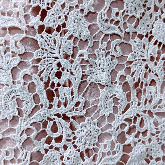 | Women's | French Connection | Lace Pencil Skirt | US 10 - Picture 5 of 9